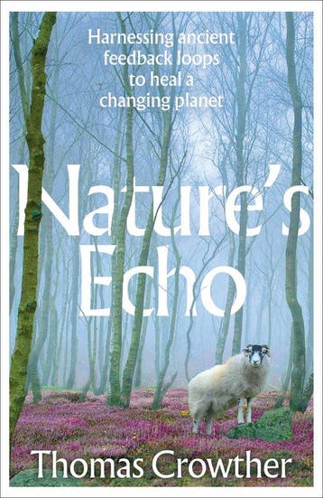 9781911709701 Natures Echo Thomas Crowther, Boeken, Verzenden, Nieuw, Thomas Crowther