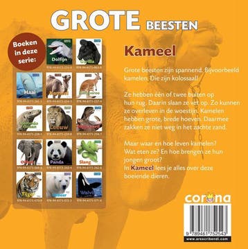 Kameel / Grote Beesten 9789461752543 Stephanie Turnbull, Verzenden, Gelezen, Stephanie Turnbull