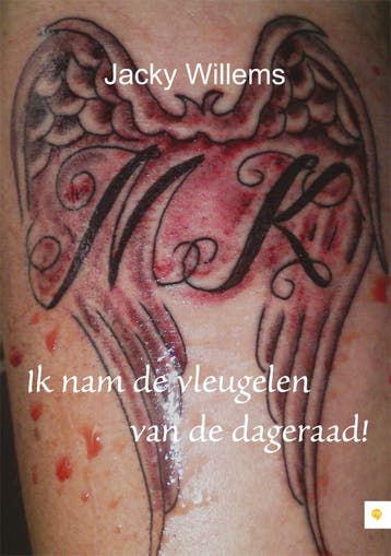 Ik nam de vleugelen van de dageraad! - Jacky Willems, Boeken, Verzenden, Zo goed als nieuw, Jacky Willems