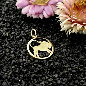 Gouden sterrenbeeld hanger; Stier (Hanger of bedel), Ophalen of Verzenden, Gebruikt, Goud, Overige merken