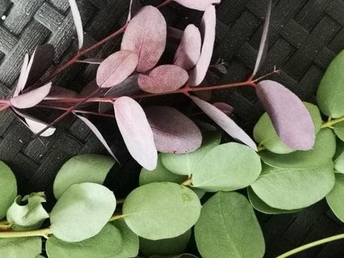 Bloemenzuigverf aquatint 02 lichtblauw voor verse bloemen, Huis en Inrichting, Woonaccessoires | Kunstplanten en Kunstbloemen