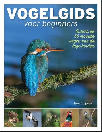 Vogelgids voor beginners - Inge Duijsens 9789493201859, Verzenden, Zo goed als nieuw, Inge Duijsens