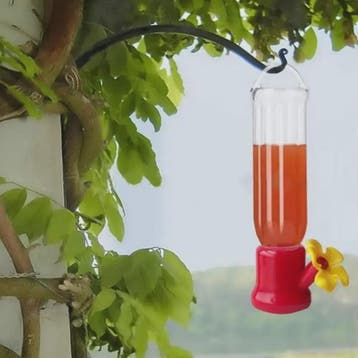 Draagbare Vogel Drinkfles met Ophangdraad - Transparant Plas