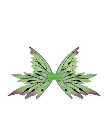 Vleugels Tinkerbell, Ophalen of Verzenden, Nieuw