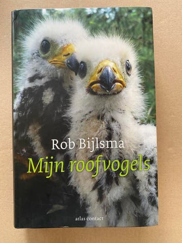 Rob Bijlsma - Mijn Roofvogels - in nieuwstaat, Ophalen of Verzenden, Zo goed als nieuw, Vogels