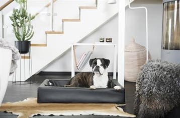 Bia bed hondenmand original zwart (Hondenmanden Bia bed), Verzenden, Nieuw