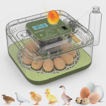 Automatische Incubator voor 12 Eieren met Temperatuur- en Vo, Verzenden, Nieuw