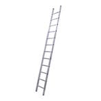 ALX XD professionele enkele ladder, Verzenden, Nieuw, Ladder