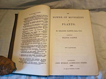 Charles Darwin - The Power of Movement in Plants - 1880