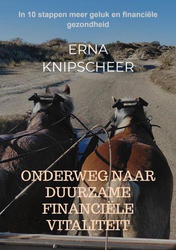 9789465467030 Onderweg naar duurzame financiele vitaliteit, Verzenden, Nieuw, Erna Knipscheer