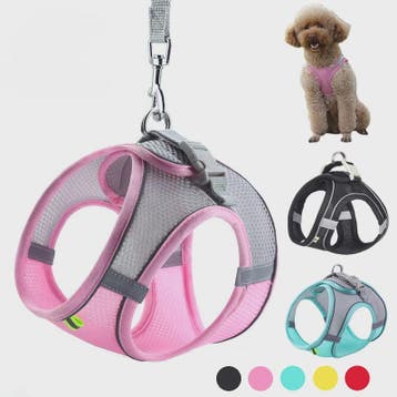 Verstelbaar Puppy en Kat Tuigje met Riem - Ideaal voor Klein, Verzenden, Nieuw