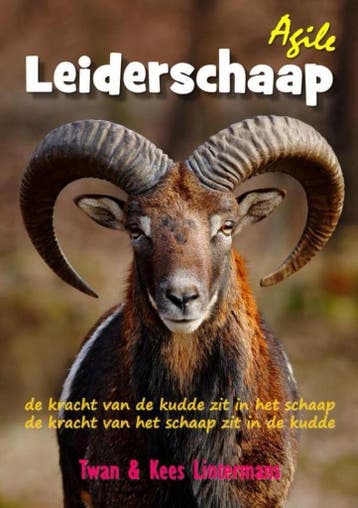 Agile leiderschaap - Kees en Twan Lintermans 9789463673617, Verzenden, Zo goed als nieuw, Kees en Twan Lintermans