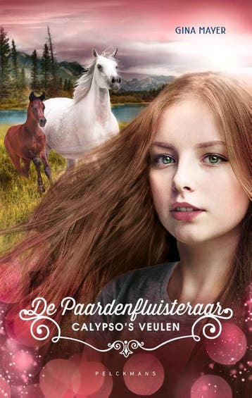 6 | Gina Mayer | Nieuw, Ophalen of Verzenden, Nieuw, Gina Mayer