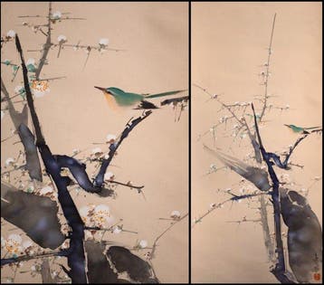 Witte pruimenbloesems en Japanse boszanger - Hangende Rol -