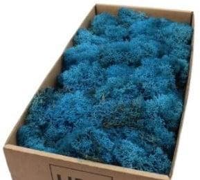 Rendiermos IJslandsmos Finlandsmos Blauw 500 gram, Ophalen of Verzenden, Nieuw
