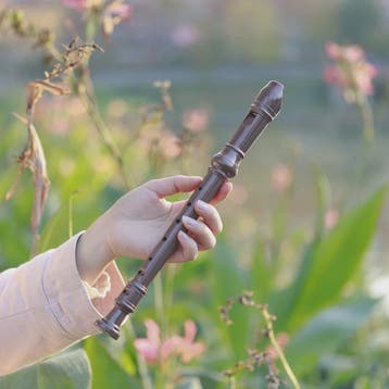 8-Gats ABS Sopraanblokfluit voor Beginners en Kinderen - Dui, Muziek en Instrumenten, Verzenden, Nieuw