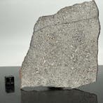 Eucriet van Vesta asteroïde XXL!!!!, NWA 13940, met