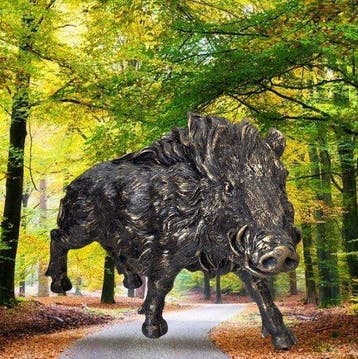 Beeld, Wild Zwijn-XXL - 44 cm - gebronsd met gouden patina
