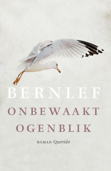 Onbewaakt Ogenblik | Bernlef, Ophalen of Verzenden, Zo goed als nieuw, Bernlef