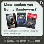 Het Dresden dilemma 9789493381216 Benny Baudewyns, Verzenden, Gelezen, Benny Baudewyns