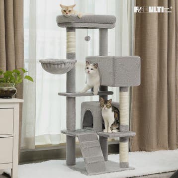 Luxe Kattenboom met Krabpalen, Hangmat en Knusse Condo - Gro