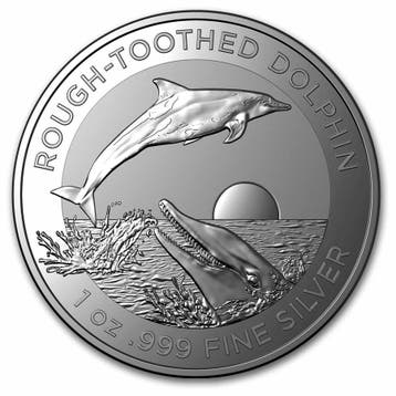 Rough Toothed Dolphin 1 oz 2023 (RAM) (25.000 oplage), Verzenden, Losse munt, Zilver
