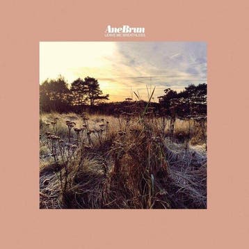 ANE BRUN - LEAVE ME BREATHLESS (LP), Verzenden, Nieuw in verpakking