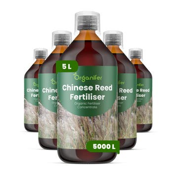 Chinees riet Vloeibare meststof - 5x1 liter, Verzenden, Mest