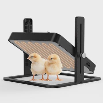 Verstelbare Kuiken Verwarmingsplaat met Thermostaat - Energi, Verzenden, Nieuw