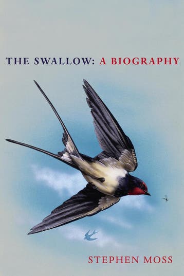 The Swallow - Stephen Moss 9781529110265, Verzenden, Zo goed als nieuw, Stephen Moss