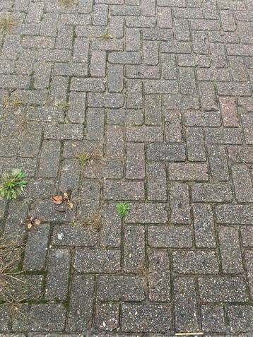 Gebruikte betonklinkers 21x10,5x8 cm Rood/Paars, Gebruikt, Verzenden, Klinkers, 10 m² of meer