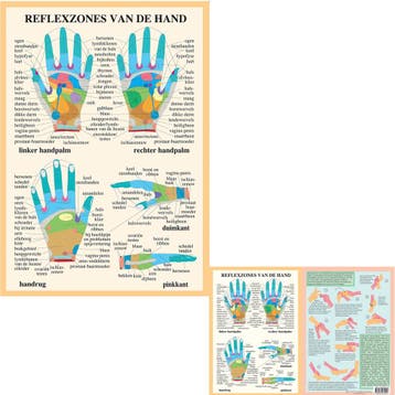 Anatomie poster handreflexologie (Nederlands, gelamineer..., Nieuw