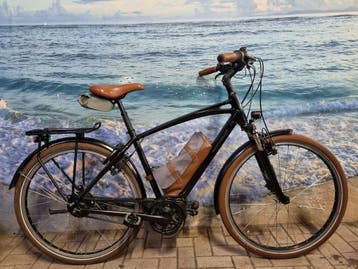 Riese Müller Cruiser2 Vario belt, 170-183cm, Bosch motor, Overige merken, Ophalen of Verzenden, Zo goed als nieuw, 51 tot 55 cm