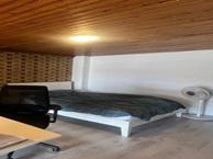 Studio Heinsiusstraat in Groningen, Overige soorten, Groningen