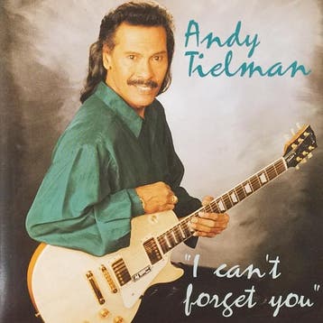 Andy Tielman - I Cant Forget You, Ophalen of Verzenden, Gebruikt
