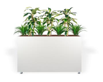 Vrijstaande of verrijdbare plantenbak Divide XL, 90x166x3..., Ophalen of Verzenden, Overige soorten, 150 tot 200 cm