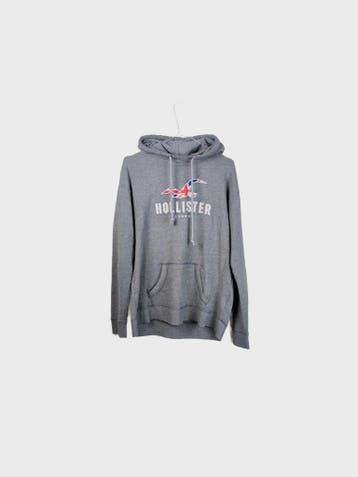 Hollister Hoodie Heren maat M Grijs Vintage, Ophalen of Verzenden, Nieuw
