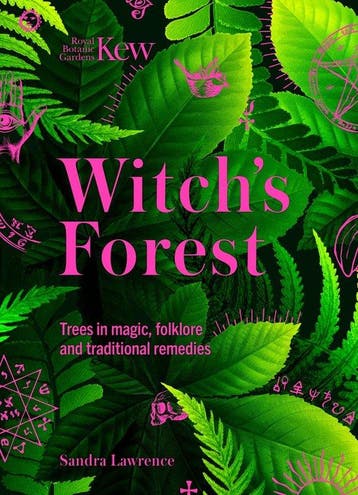 9781802795370 Kew - Witchs Forest Royal Botanic Gardens Kew, Verzenden, Nieuw, Royal Botanic Gardens Kew