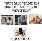 Start online zonder investering, Starter, Overige vormen, Overige niveaus, Geschikt als bijbaan