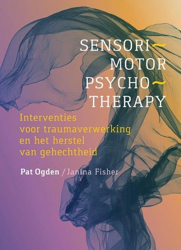 9789463160322 Sensorimotor Psychotherapy, Verzenden, Nieuw, Pat Ogden