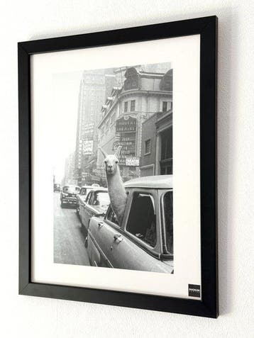 Inge Morath - Magnum Photos - A llama in Times Square, New, Antiek en Kunst