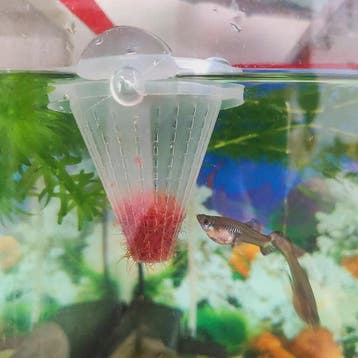 2x Aquarium Voederbeker Kegelvormig - Voor Levend Voer, Verzenden, Nieuw