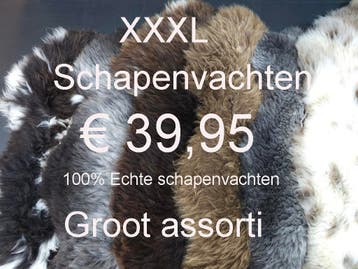 Schapenvacht Schapenvel Schapenhuid 100% echt € 39,95 NIEUW, Ophalen of Verzenden, Nieuw