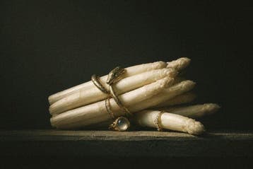 Marta Romashina - White Harvest