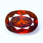 1 pcs Rood, Oranje Sfaleriet - 156.24 ct - nternational, Nieuw