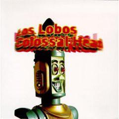 cd - Los Lobos - Colossal Head, Verzenden, Zo goed als nieuw