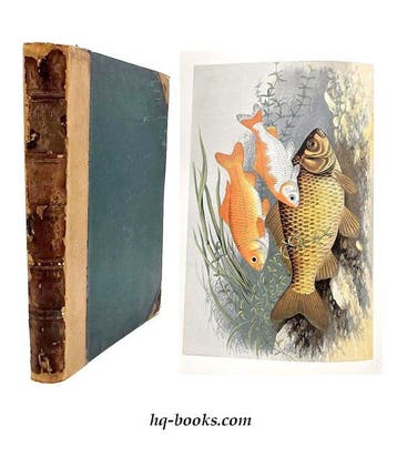 Houghton - British Fresh-Water Fishes - 1879