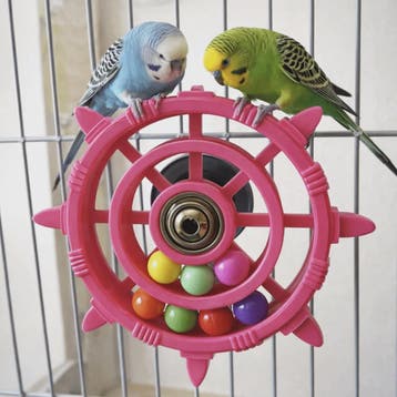 Roei/Stuurwiel Vogel Speelgoed Spinner met Kleurrijke Kralen