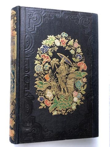 Daniel Defoe - Aventures de Robinson Crusoe - 1853