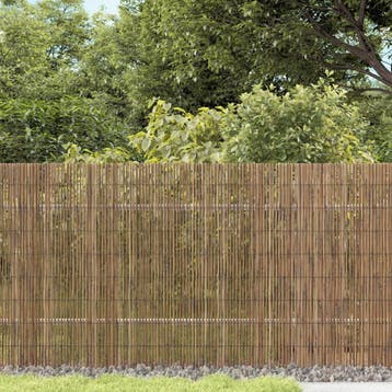 vidaXL Tuinscherm 300x80 cm riet, Verzenden, Nieuw, Minder dan 1 meter